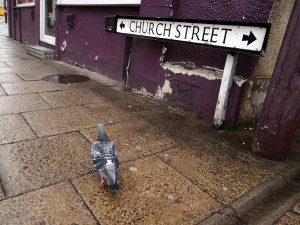 Pigeon Street